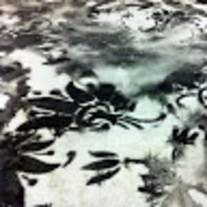 Meet your Posher, Resha